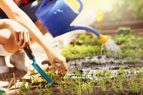 Professional gardeners working in a West Ham garden