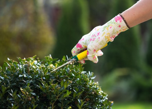 A local gardener working on a residential garden