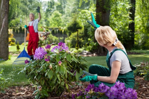 Eco-friendly gardening practices in a Petersham outdoor space