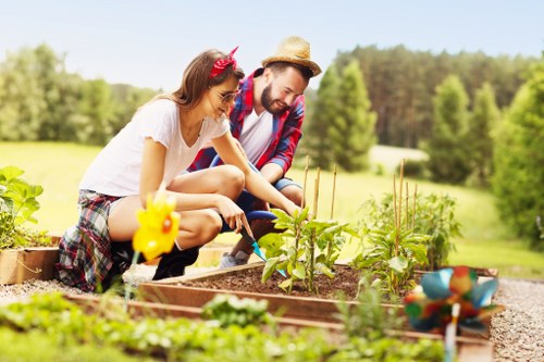 Professional gardener designing a lush garden in Dollis Hill