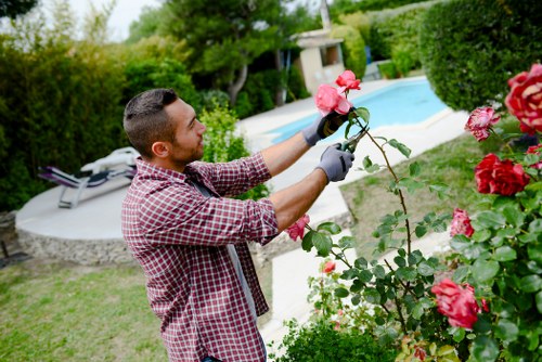 Professional gardener tending a vibrant Eden Park garden