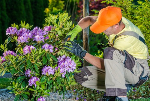 Clerkenwell gardener planning a landscape design