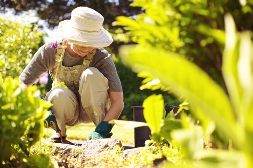 Landscape design planning by Crook Log gardeners