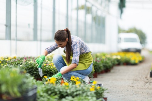 Seasonal gardening in Hadley Wood