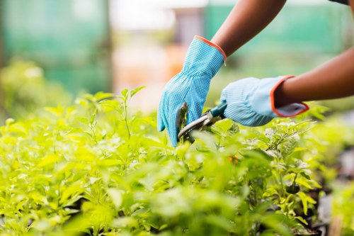 Eco-friendly gardening practices being implemented