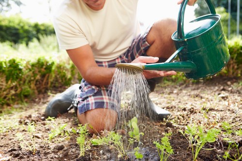 Stratford gardener designing a garden layout