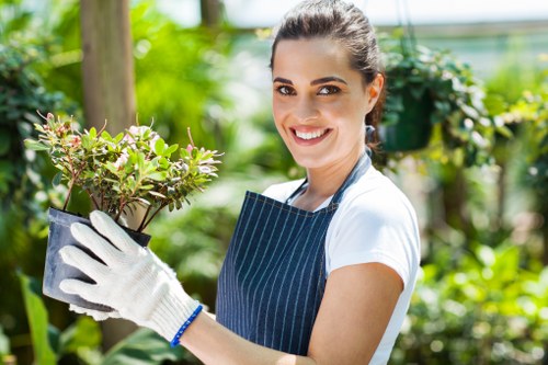 Comprehensive gardening services in West Norwood