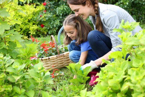 Custom garden design plan by Aperfield gardeners