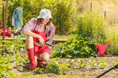 Professional gardener working in a lush Ealing garden