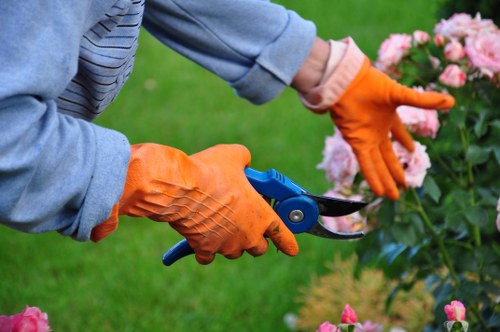 Professional gardener tending to a lush Southgate garden