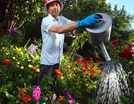 Local Fulham gardeners working on a landscape design