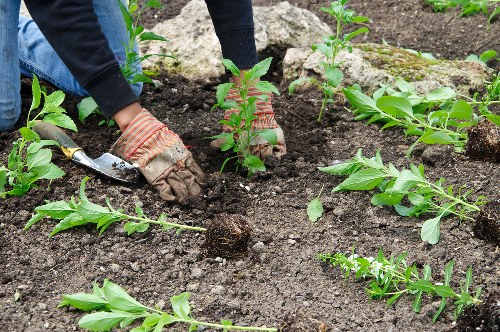 Modern garden features created by Millwall experts