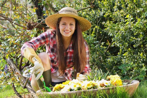 Diverse plant species in a Lee garden