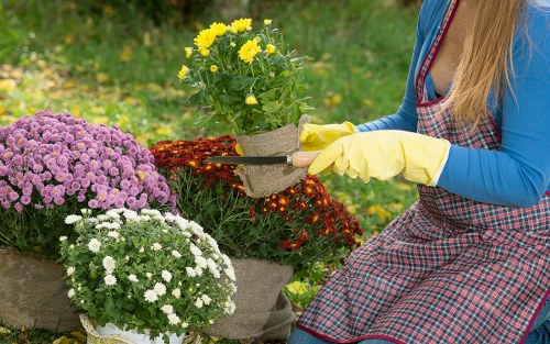 Seasonal plants flourishing in an Eden Park garden