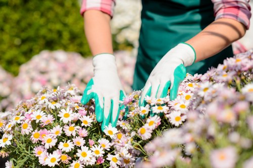 Essential garden tools for maintenance