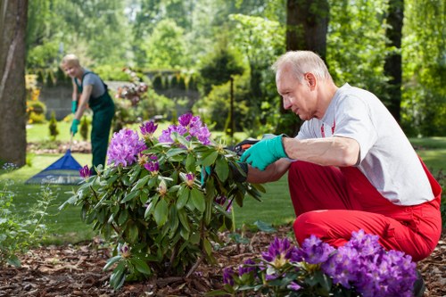 Seasonal plants maintained by Dulwich gardeners