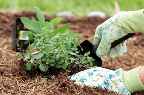 Lush green lawn being maintained