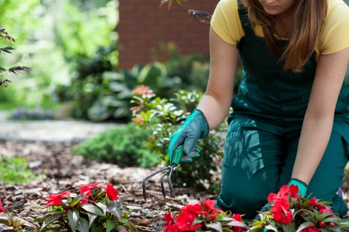 Eco-friendly gardening practices by Richmond landscapers