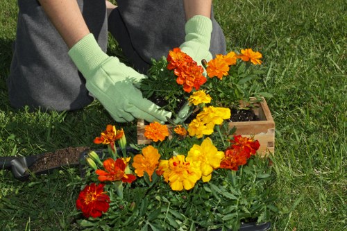 Professional landscapers maintaining a Poplar garden