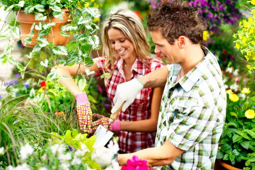 Comprehensive gardening services in Old Ford