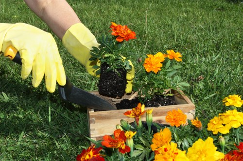 Innovative gardening techniques applied by Beckton's expert gardeners