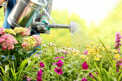 Seasonal garden clean-up in Greenford