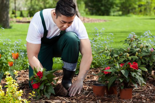 Lush green garden maintained by Bayswater gardeners