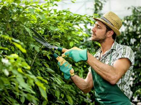 Professional gardener working in a London garden