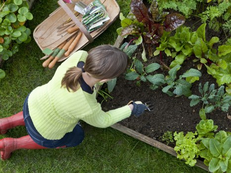 Expert Kensington gardeners maintaining a vibrant garden