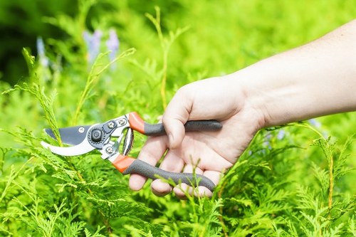 Professional gardener working in a lush Hammersmith garden