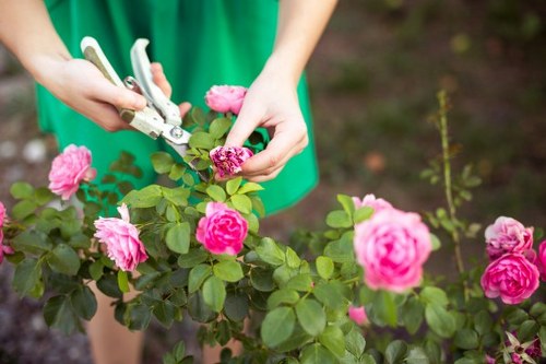 Expert gardeners enhancing a garden's appeal in Belsize Park