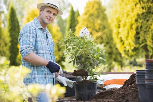 Gardener maintaining a lush lawn in East Barnet