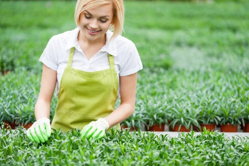 Gardeners planning a garden layout in Whitton