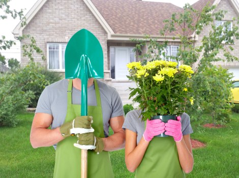 Professional gardener maintaining a lush Harrow Weald garden