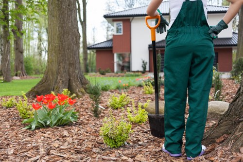 Seasonal maintenance by Burnt Oak gardening professionals