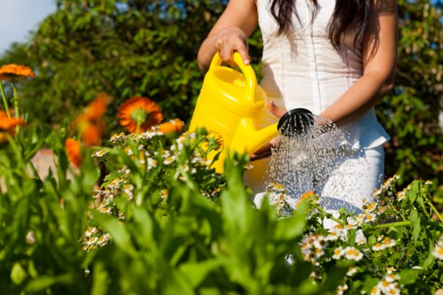 Gardener tending to seasonal plants