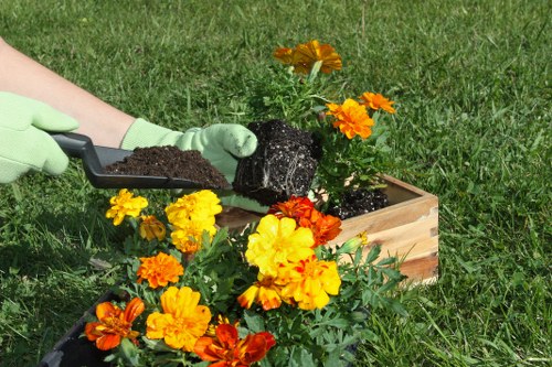 Eco-friendly gardening practices in Hammersmith