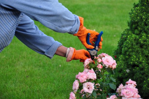 Curb appeal garden with hardscape features