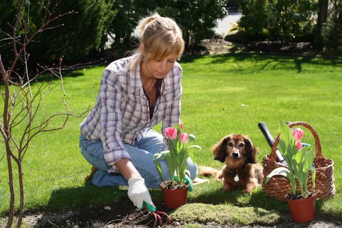 Gardening project in local West Norwood area