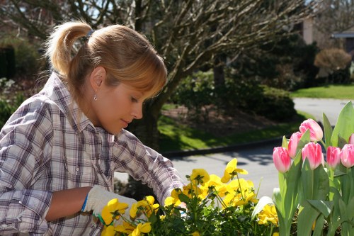 Seasonal garden maintenance by professional gardeners in Beckton