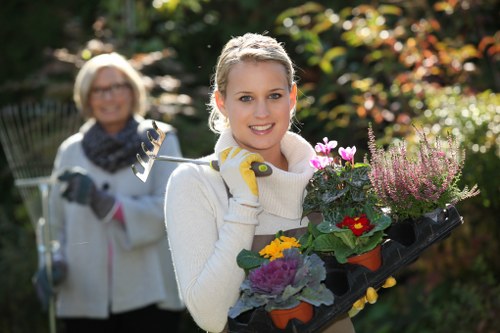 Seasonally planted flowers in a Friern Barnet garden