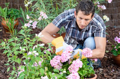 Experienced Ealing gardener maintaining plants